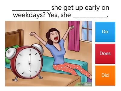 Do Does Did Questions