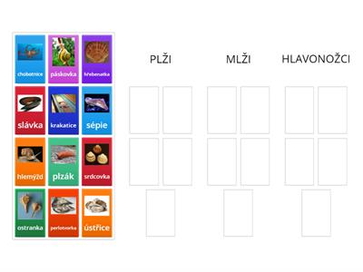 Měkkýši - skupiny plži, mlži, hlavonožci