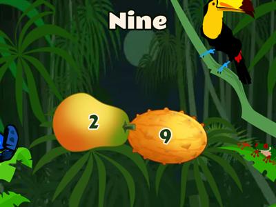 Cardinal and Ordinal numbers