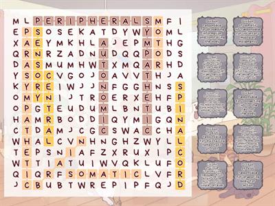 Year 11 ATAR Psychology: Divisions of the Nervous System