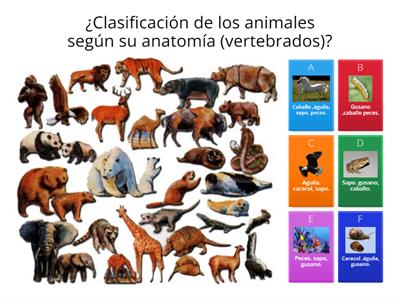 CIENCIAS NATURALES