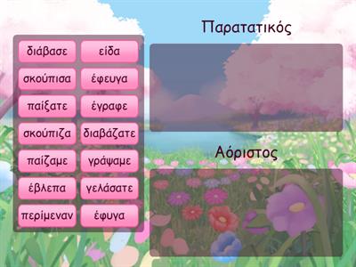 Παρατατικός ή Αόριστος;