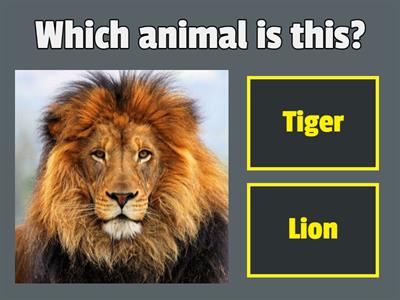 Preschool evaluation