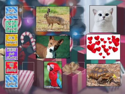 单元三。第一课: 你最喜欢什么动物？