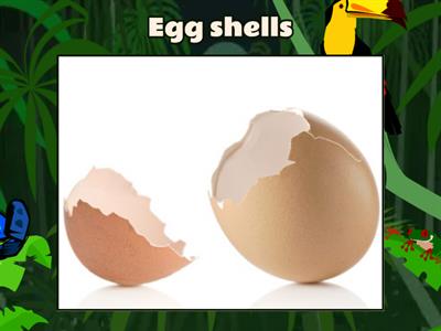  Trash, Compost, Recycle 2