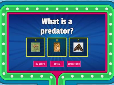 SM 4_unit 6_protection_vocabulary