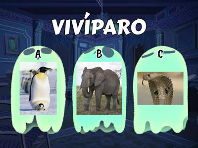 ANIMAIS OVÍPAROS E VIVÍPAROS