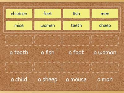  Irregular Plurals