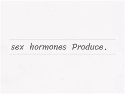 Knowledge Check:  Male Reproductive System