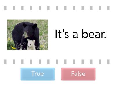 Grade 1  True or False