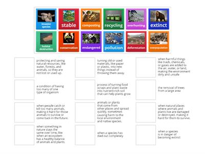 Human Impact on Ecosystems