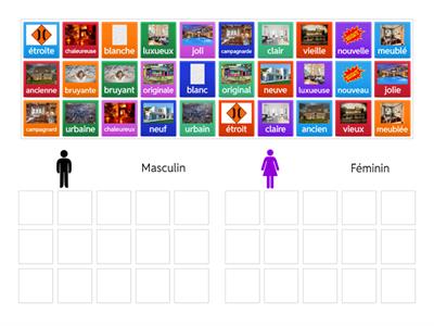 Les adjectifs masculins et féminins : le logement