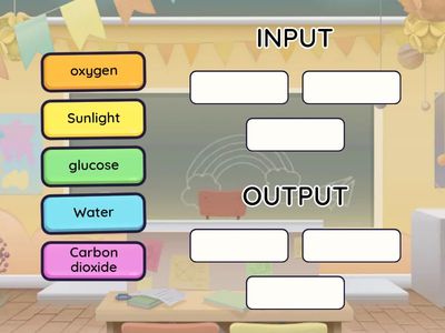 input - output (Photosynthesis)