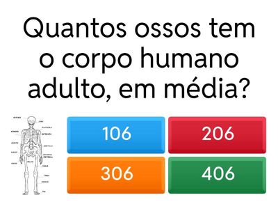 aula remota Sistema Esquelético