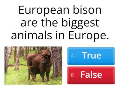 Факты о Беларуси