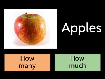 Food Quantifiers Quiz