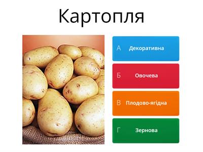 Культурні рослини