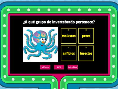 ANIMALES INVERTEBRADOS