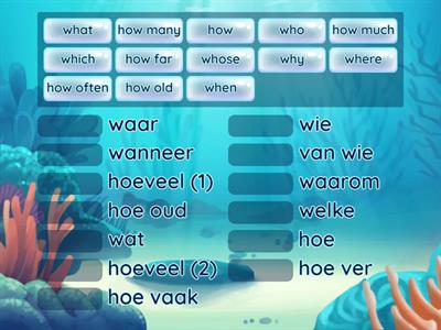 Match English to Dutch