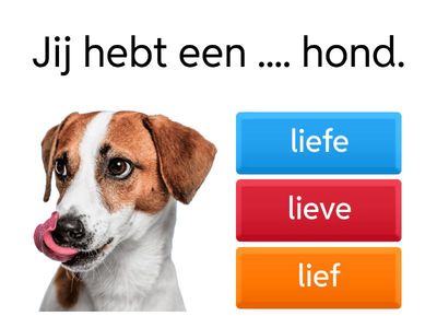 Bijvoeglijk naamwoord A1