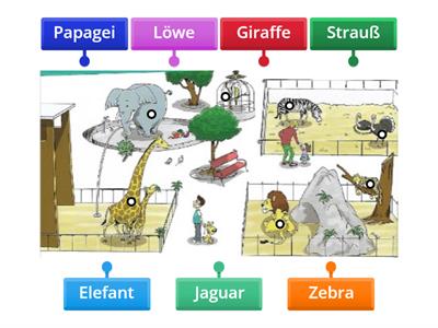 Lesen Tiere Deutschprofis A1