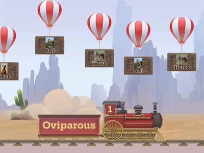 Viviparous and Oviparous Animals 