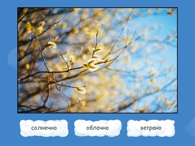 П.1.1. урок 15.2. климат и погода 1.