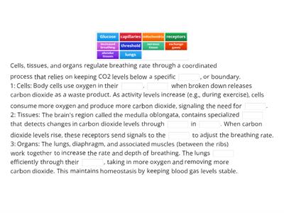 Cells, Tissues and Organs Regulate Breathing Rates
