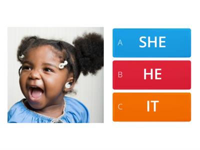 PRONOUNS: SHE - HE - IT