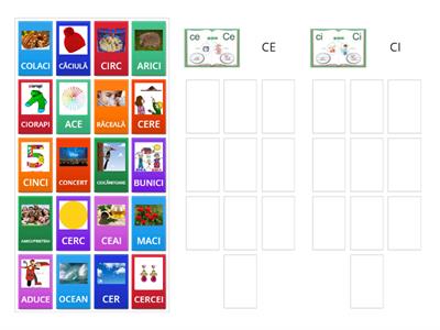 DIFERENȚIERE  CE/CI