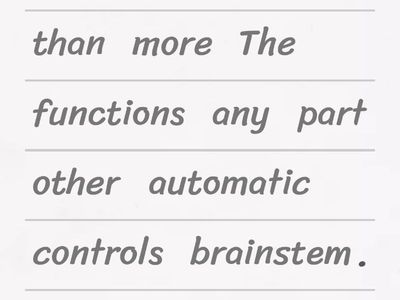 The human Brain and comparative&superlative