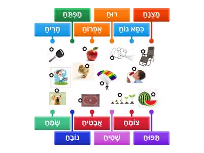 C  פתח גנובה