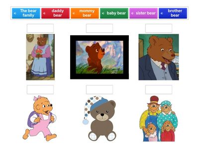 The bear family quiz