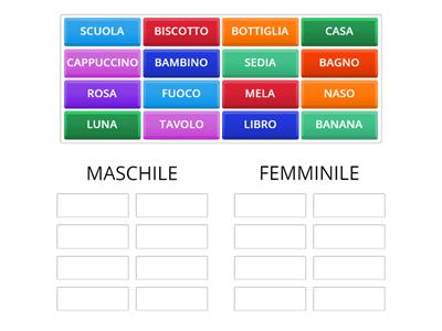 MASCHILE-FEMMINILE
