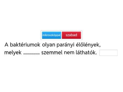 Szövegkiegészítés - egysejtűek 5.o