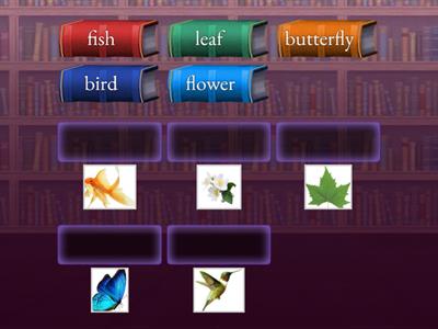 Island 1 unit 1 CLIL