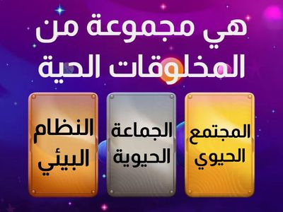 مستويات التنظيم