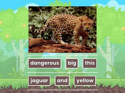 Adjectives order and present continuous 