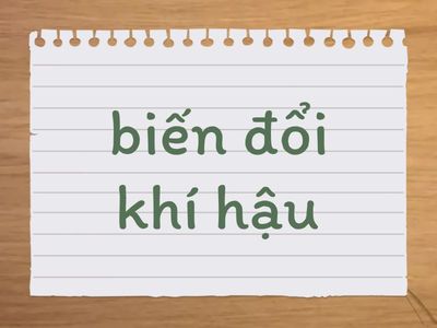 DUONG VOCAB ENVIRONMENT