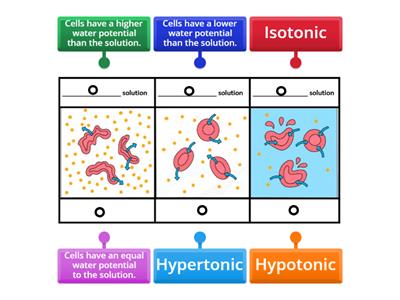Osmoregulation and osmosis