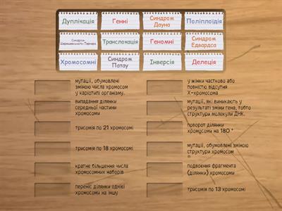 Спадкові мутації