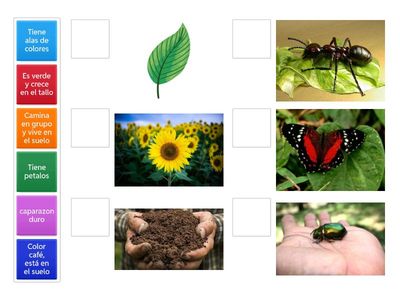 Exploro  la vida que me rodea.