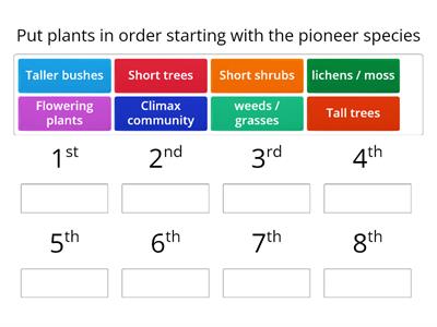 Primary succession