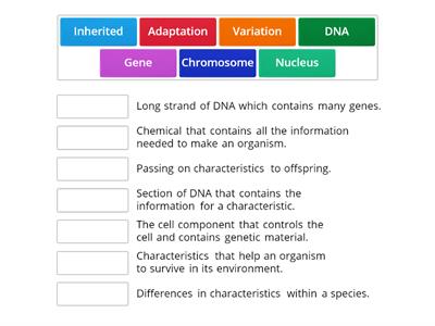 Year 8 B2.3 Adaptation and Inheritance