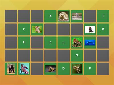 l'Alphabet et les animaux FLE enfants A1 - trouve des pairs