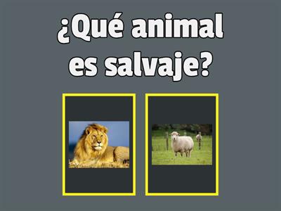  Animales domésticos y salvajes