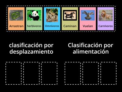 clasificacion de animales 