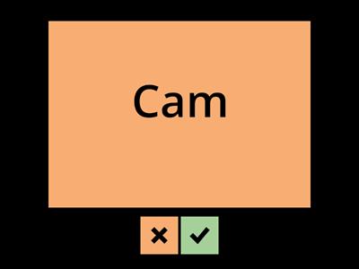 2b. Cam and Sam flashcards