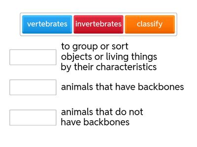 Animal Classification