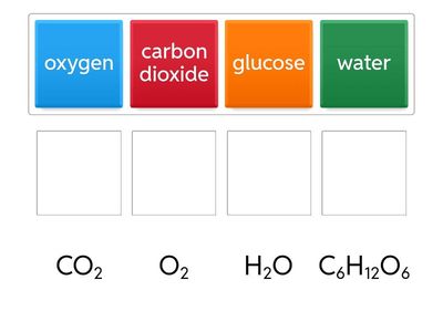 Photosynthesis Word and Formula Match